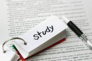 持って生まれた能力(遺伝)を考慮した国語、英語の勉強