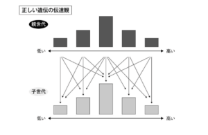 勉強ができない子の親が悪いわけではない科学的理由とその対策