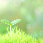 地方公立高校から大学進学を目指す良いところ